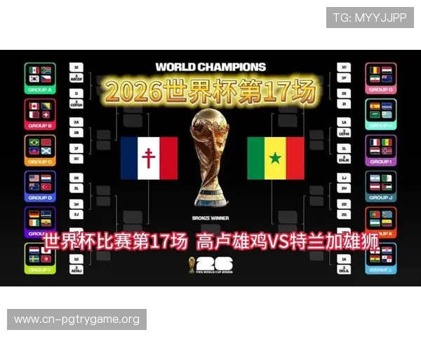 2026年世界杯法国VS塞内加尔比赛门票价格及预订流程全攻略